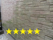 カビ・藻（★★★★★）